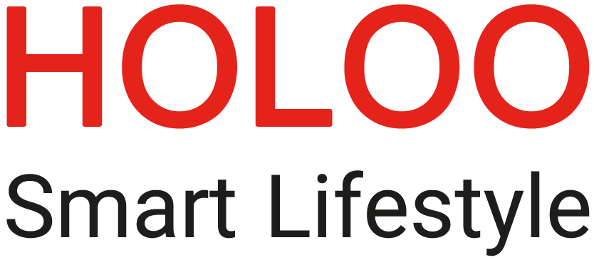 HOLOO SMART 01 - نرم‌افزارهای حسابداری صنفی